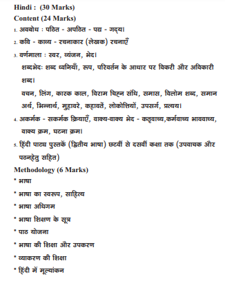 AP TET Syllabus For Hindi