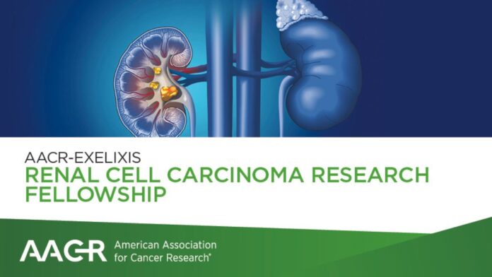 AACR-Exelixis Renal Cell Carcinoma Research Fellowship, USA