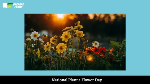 National Plant a Flower Day 2024 Date, History, Significance